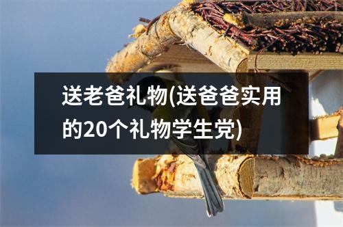 送老爸礼物(送爸爸实用的20个礼物学生党)