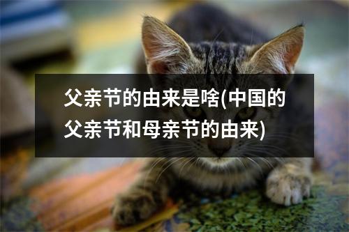 父亲节的由来是啥(的父亲节和母亲节的由来)