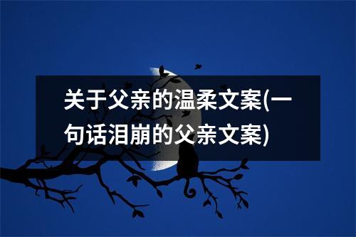 关于父亲的温柔文案(一句话泪崩的父亲文案)