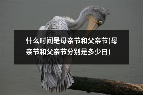 什么时间是母亲节和父亲节(母亲节和父亲节分别是多少日)