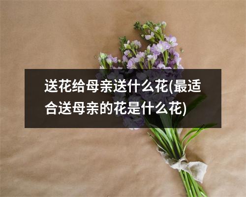 送花给母亲送什么花(适合送母亲的花是什么花)