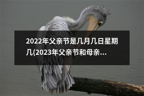 2022年父亲节是几月几日星期几(2023年父亲节和母亲节是哪一天)