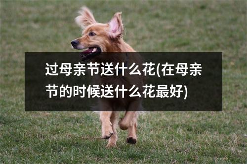 过母亲节送什么花(在母亲节的时候送什么花好)