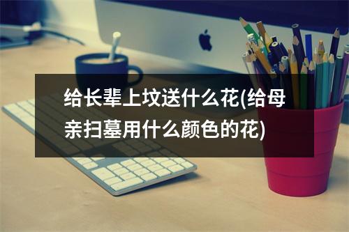 给长辈上坟送什么花(给母亲扫墓用什么颜色的花)