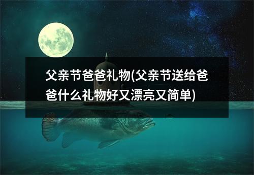 父亲节爸爸礼物(父亲节送给爸爸什么礼物好又漂亮又简单)