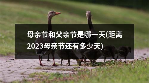 母亲节和父亲节是哪一天(距离2023母亲节还有多少天)