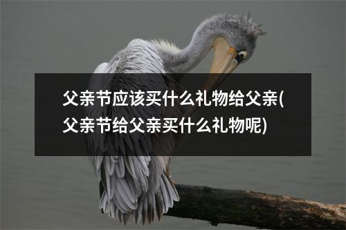 父亲节应该买什么礼物给父亲(父亲节给父亲买什么礼物呢)