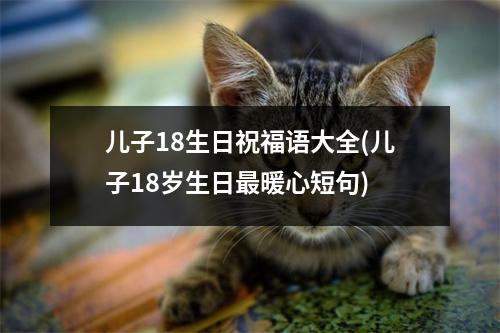 儿子18生日祝福语大全(儿子18岁生日暖心短句)