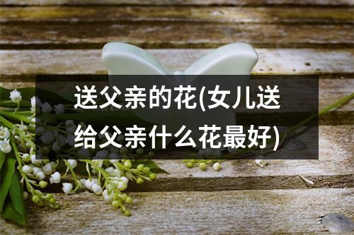 送父亲的花(女儿送给父亲什么花好)