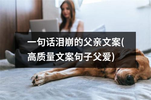 一句话泪崩的父亲文案(高质量文案句子父爱)