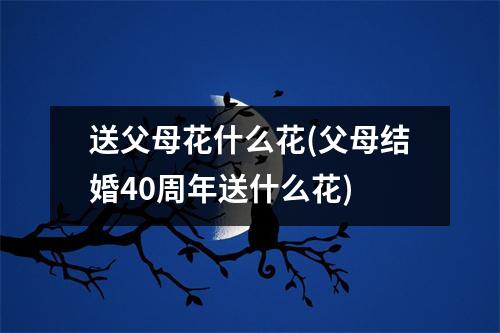 送父母花什么花(父母结婚40周年送什么花)