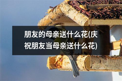 朋友的母亲送什么花(庆祝朋友当母亲送什么花)