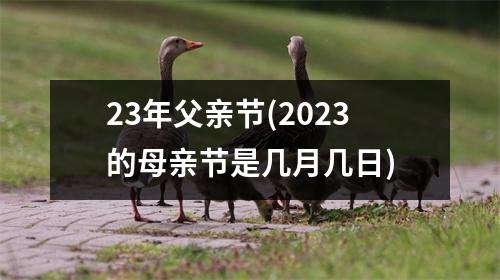 23年父亲节(2023的母亲节是几月几日)