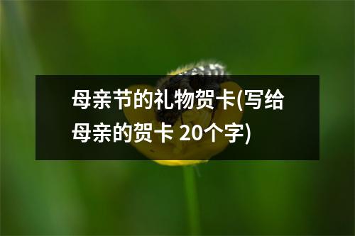 母亲节的礼物贺卡(写给母亲的贺卡 20个字)