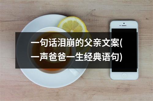 一句话泪崩的父亲文案(一声爸爸一生经典语句)