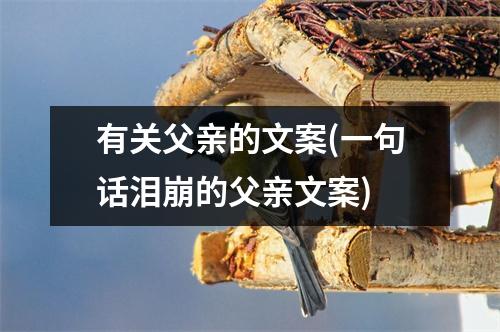 有关父亲的文案(一句话泪崩的父亲文案)