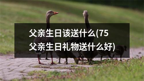 父亲生日该送什么(75父亲生日礼物送什么好)