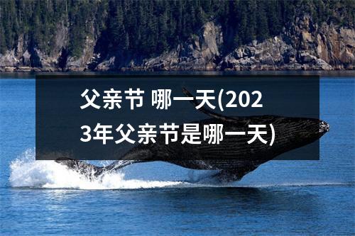 父亲节 哪一天(2023年父亲节是哪一天)