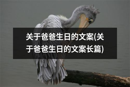 关于爸爸生日的文案(关于爸爸生日的文案长篇)