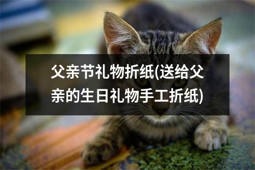 父亲节礼物折纸(送给父亲的生日礼物手工折纸)