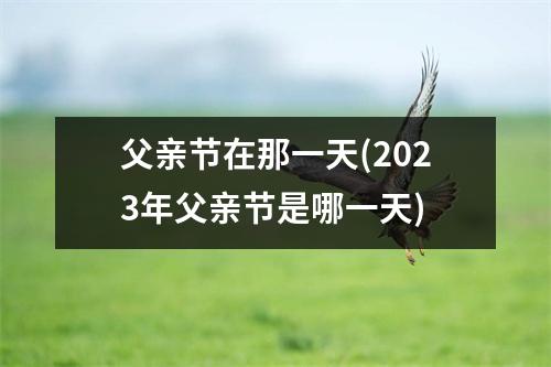 父亲节在那一天(2023年父亲节是哪一天)