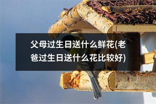 父母过生日送什么鲜花(老爸过生日送什么花比较好)