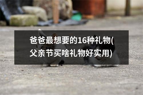 爸爸最想要的16种礼物(父亲节买啥礼物好实用)