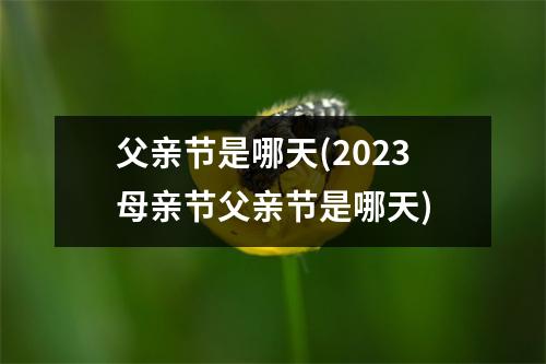 父亲节是哪天(2023母亲节父亲节是哪天)