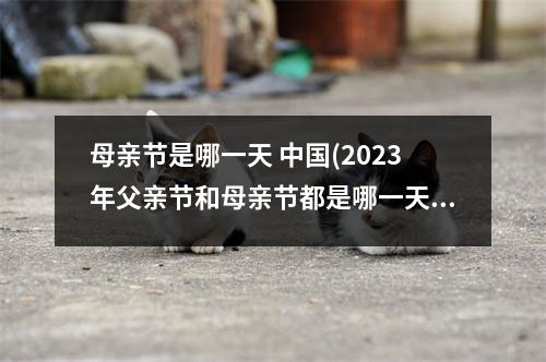 母亲节是哪一天 中国(2023年父亲节和母亲节都是哪一天)