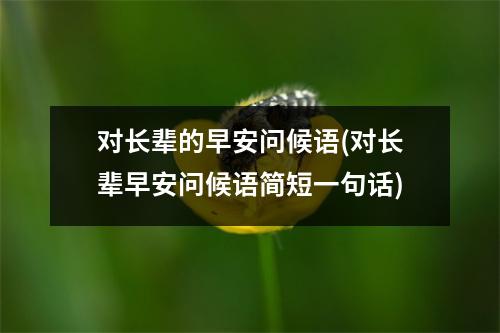 对长辈的早安问候语(对长辈早安问候语简短一句话)