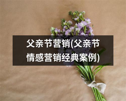 父亲节营销(父亲节情感营销经典案例)