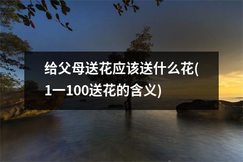 给父母送花应该送什么花(1一100送花的含义)