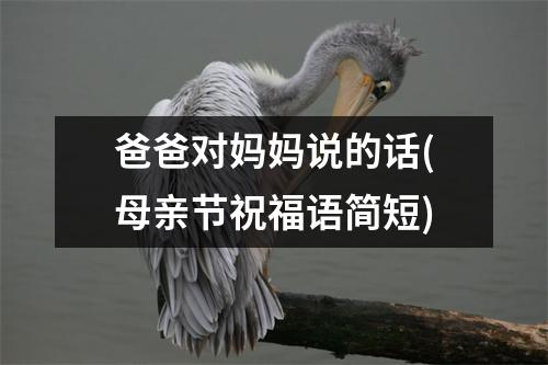 爸爸对妈妈说的话(母亲节祝福语简短)