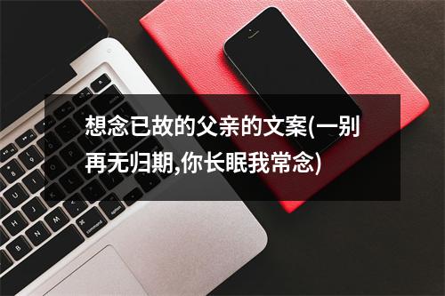 想念已故的父亲的文案(一别再无归期,你长眠我常念)