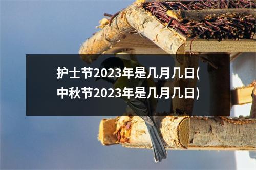 护士节2023年是几月几日(中秋节2023年是几月几日)