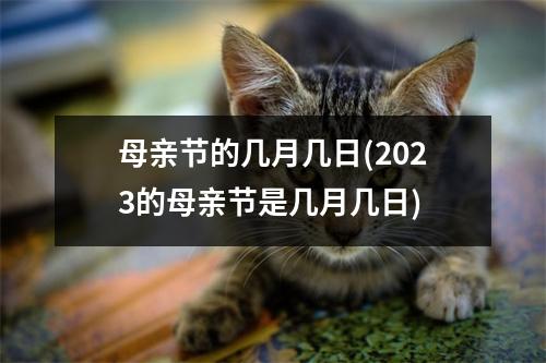 母亲节的几月几日(2023的母亲节是几月几日)