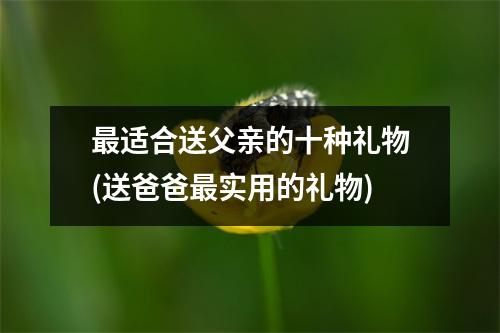 最适合送父亲的十种礼物(送爸爸最实用的礼物)