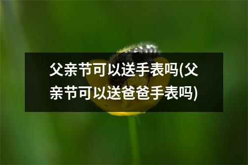 父亲节可以送手表吗(父亲节可以送爸爸手表吗)