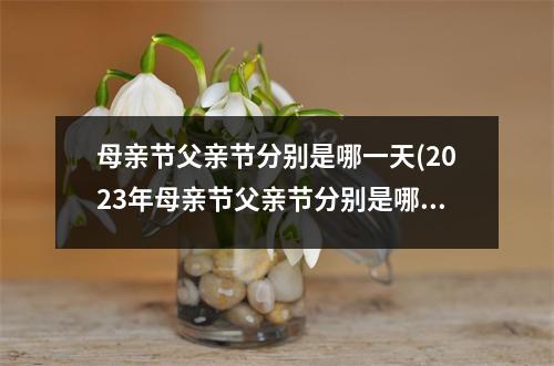 母亲节父亲节分别是哪一天(2023年母亲节父亲节分别是哪一天)