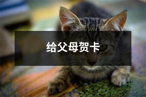 给父母贺卡