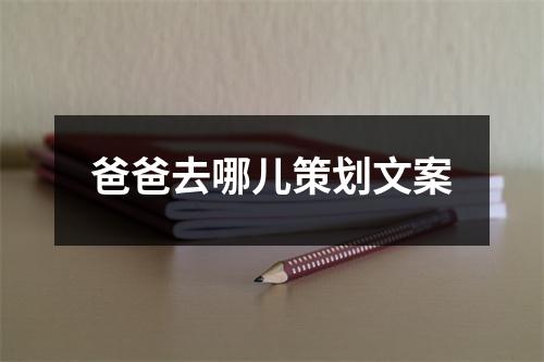 爸爸去哪儿策划文案