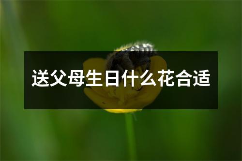 送父母生日什么花合适