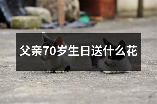 父亲70岁生日送什么花