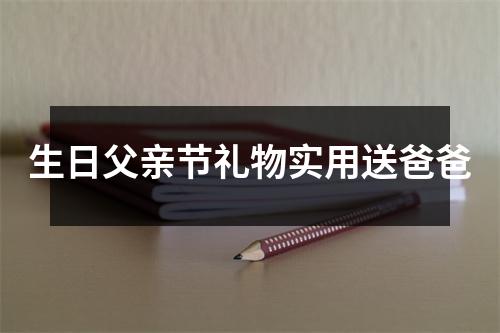 生日父亲节礼物实用送爸爸