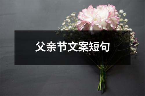 父亲节文案短句