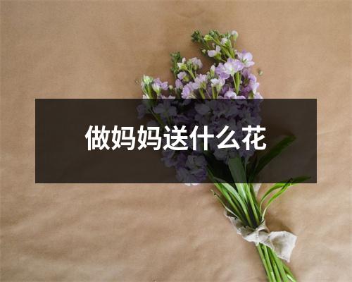 做妈妈送什么花