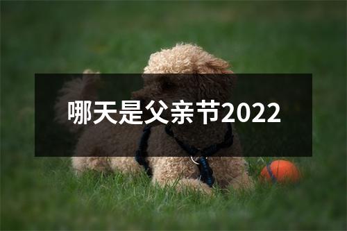 哪天是父亲节2022