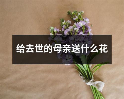 给去世的母亲送什么花