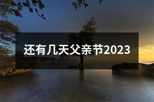 还有几天父亲节2023