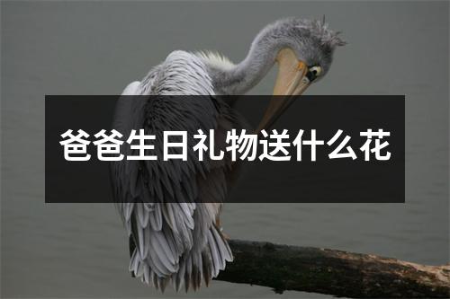 爸爸生日礼物送什么花